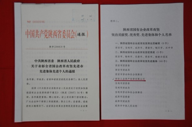 2009年2月，，，，，被陕西省委、省政府授予陕西省国有企业刷新攻坚先进整体